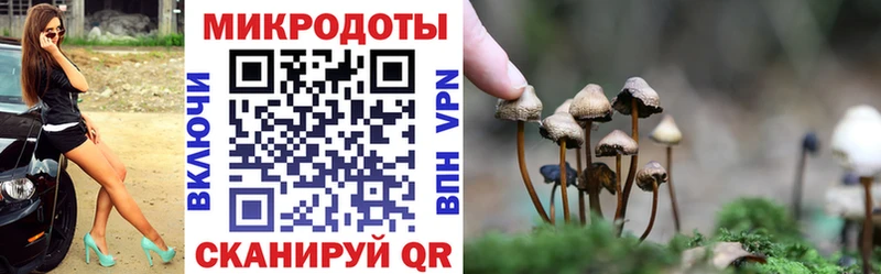 Псилоцибиновые грибы Cubensis  что такое   Озёры 
